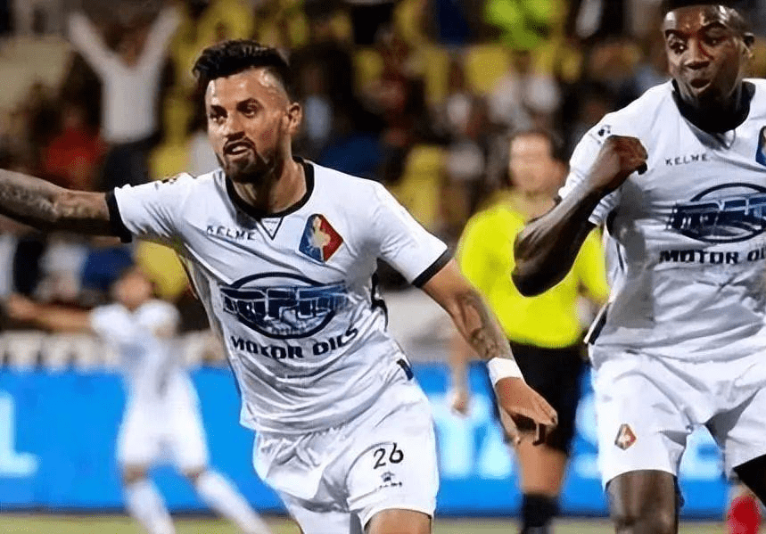 这种高度专 这种高度专